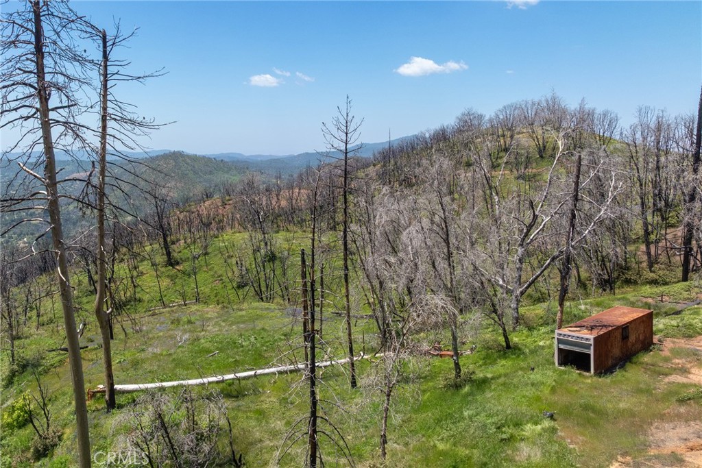 39 Buckingham Mountain Road Mariposa, CA 95338 - Photo 43 of 74 a view of a backyard