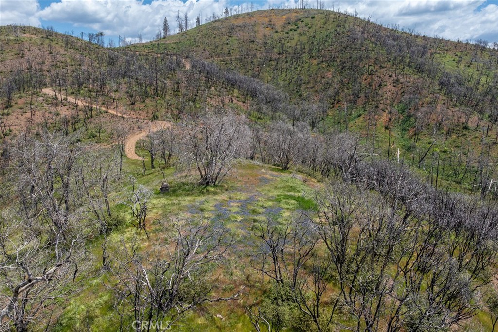 39 Buckingham Mountain Road Mariposa, CA 95338 - Photo 45 of 74