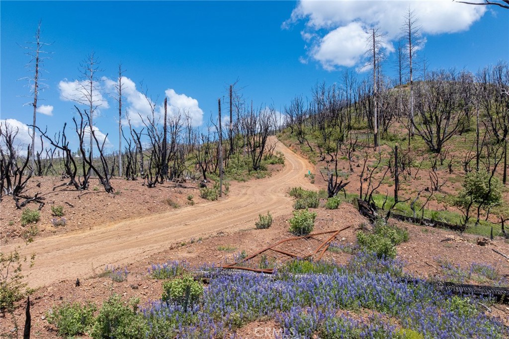 39 Buckingham Mountain Road Mariposa, CA 95338 - Photo 46 of 74