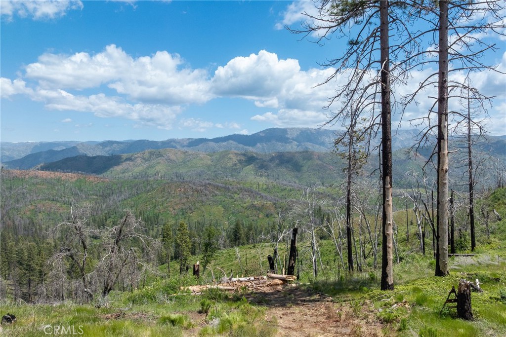 39 Buckingham Mountain Road Mariposa, CA 95338 - Photo 48 of 74 a view of a city with lush green forest