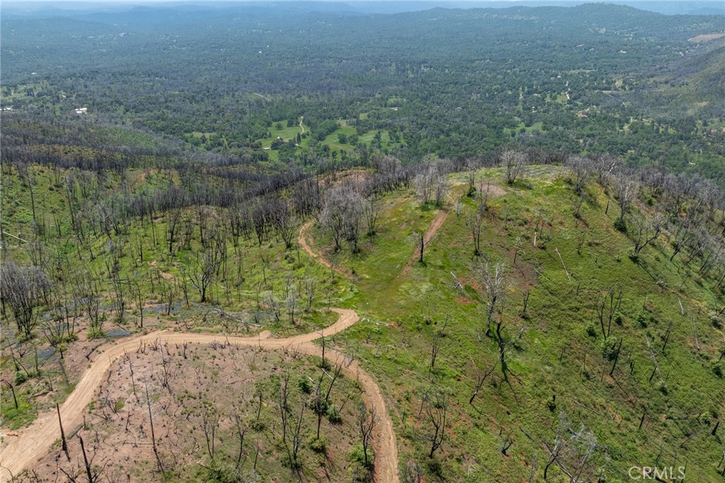 39 Buckingham Mountain Road Mariposa, CA 95338 - Photo 49 of 74 a view of a forest with a lake