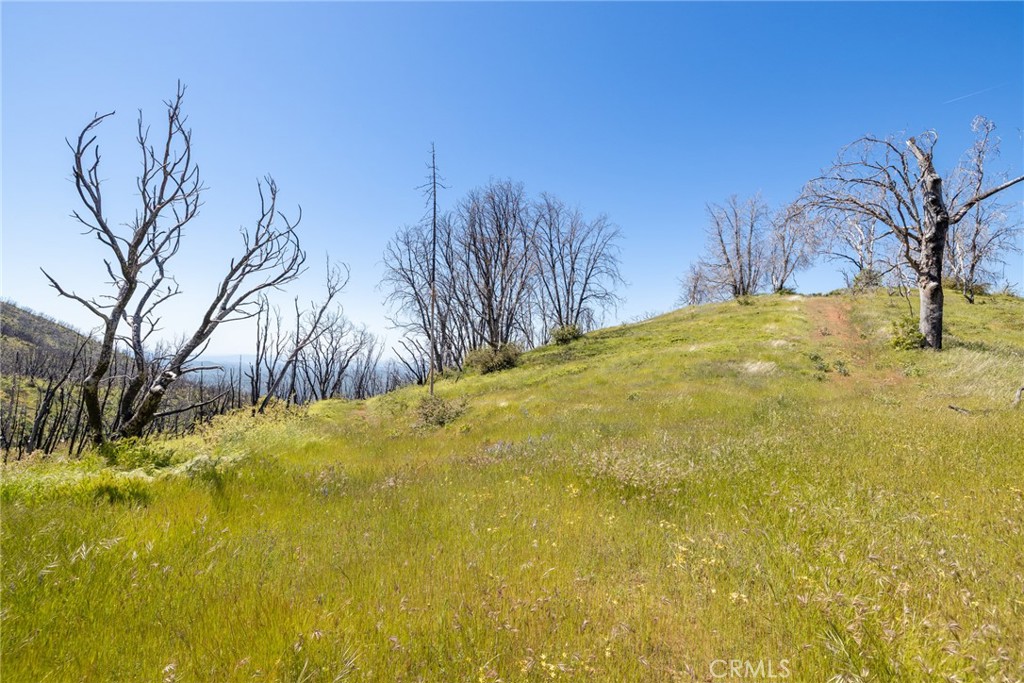 39 Buckingham Mountain Road Mariposa, CA 95338 - Photo 50 of 74