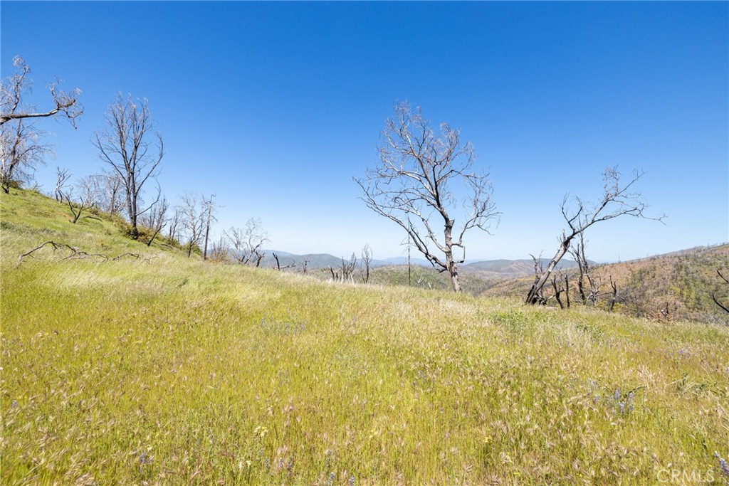 39 Buckingham Mountain Road Mariposa, CA 95338 - Photo 51 of 74 a view of yard with swimming pool