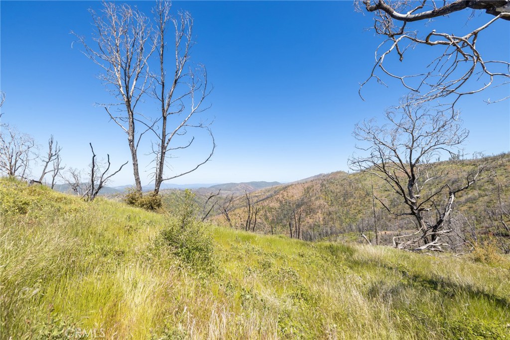 39 Buckingham Mountain Road Mariposa, CA 95338 - Photo 52 of 74 a view of a yard with wooden fence