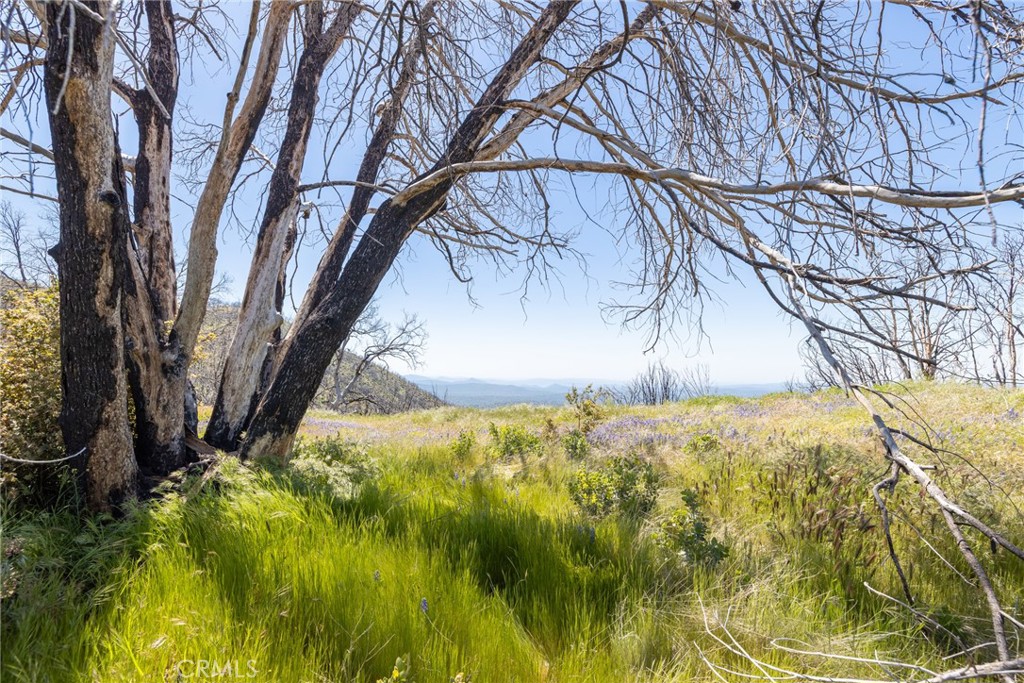39 Buckingham Mountain Road Mariposa, CA 95338 - Photo 53 of 74