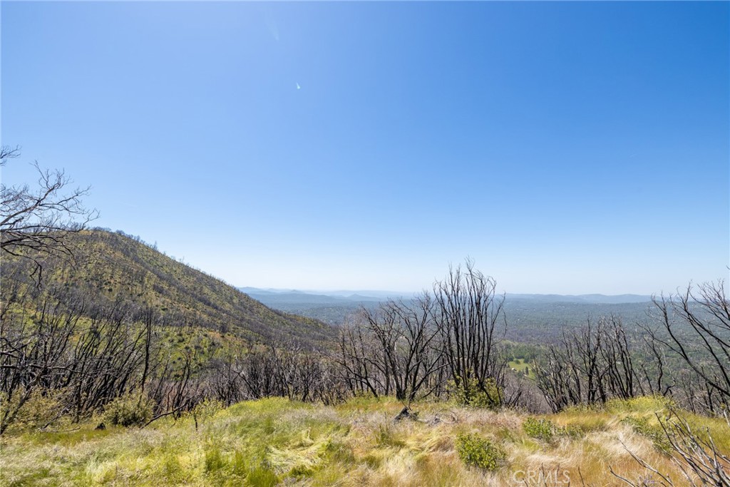 39 Buckingham Mountain Road Mariposa, CA 95338 - Photo 54 of 74 a view of a yard with a mountain