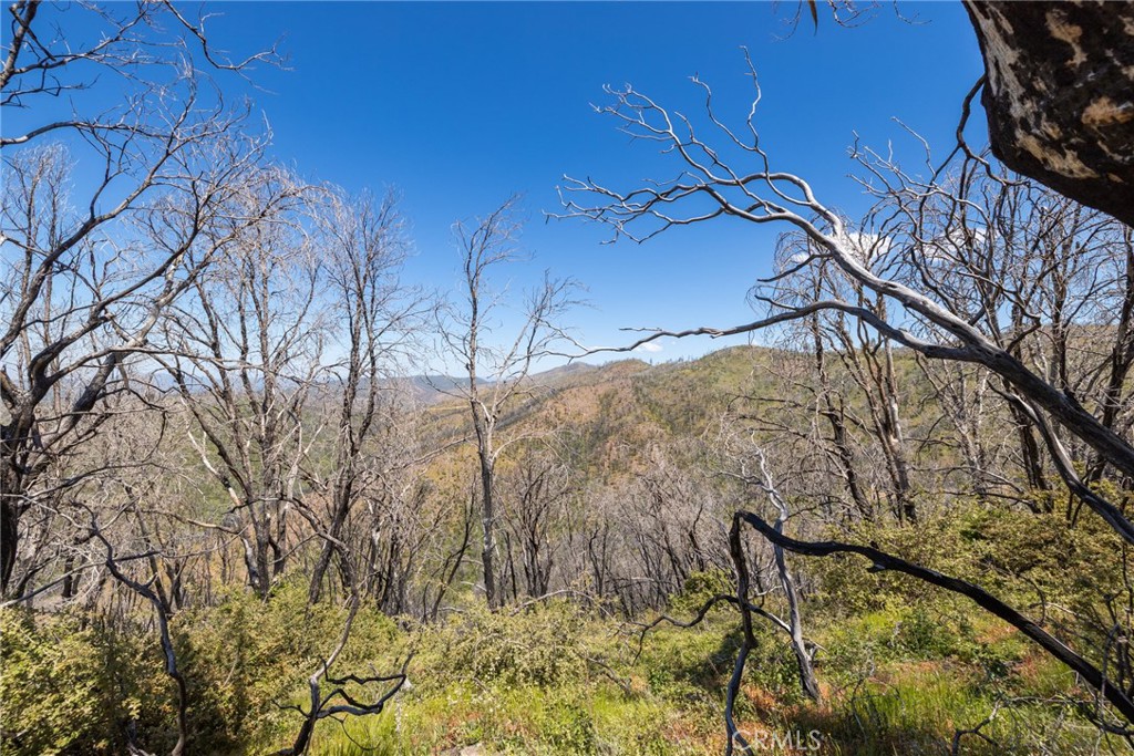 39 Buckingham Mountain Road Mariposa, CA 95338 - Photo 55 of 74 a backyard of a house with lots of green space