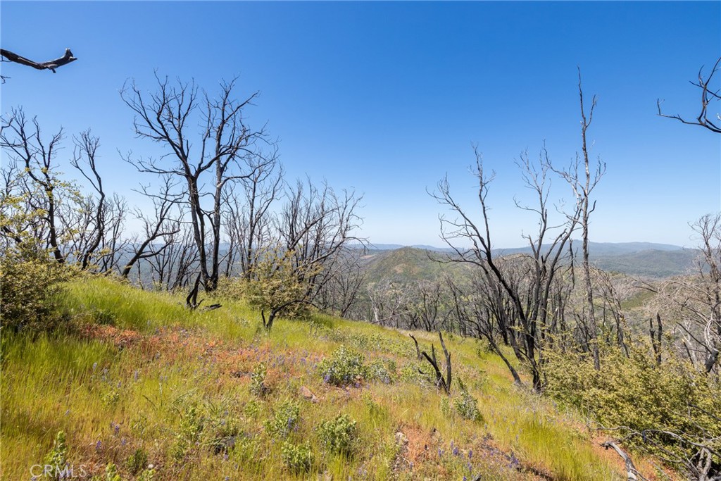 39 Buckingham Mountain Road Mariposa, CA 95338 - Photo 56 of 74