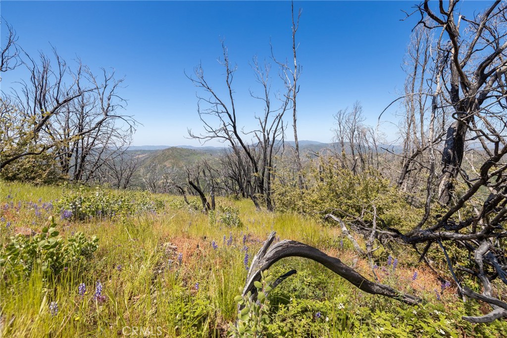 39 Buckingham Mountain Road Mariposa, CA 95338 - Photo 57 of 74 a view of swimming pool from a lake view