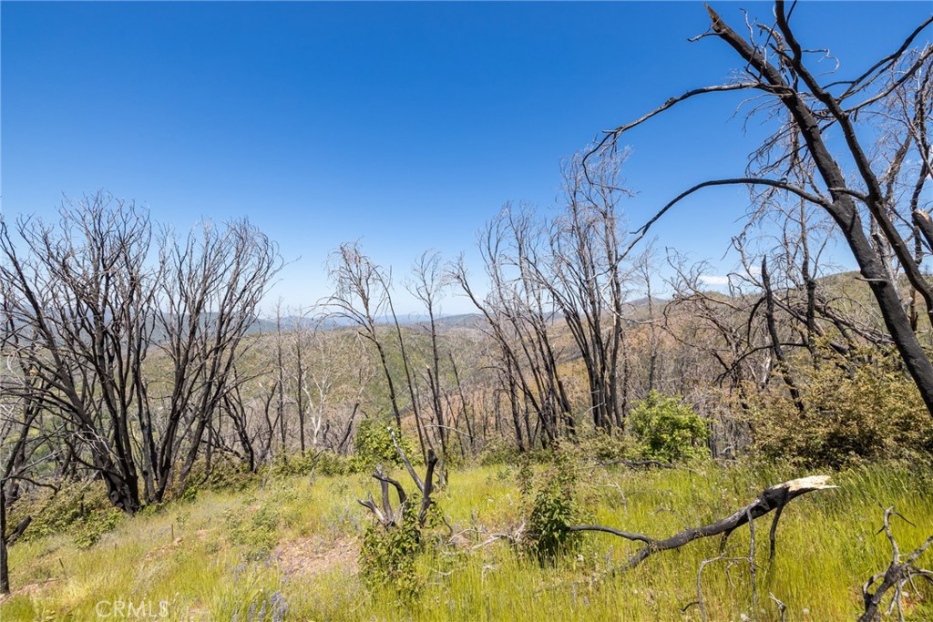 39 Buckingham Mountain Road Mariposa, CA 95338 - Photo 59 of 74 a backyard of a house with a tree