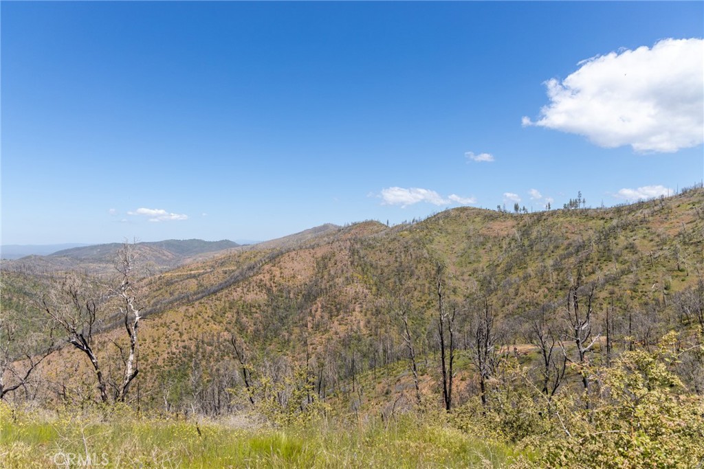 39 Buckingham Mountain Road Mariposa, CA 95338 - Photo 60 of 74