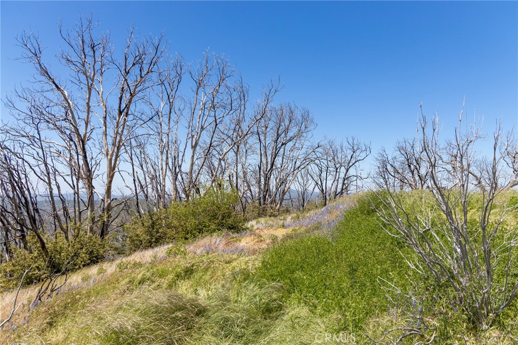 39 Buckingham Mountain Road Mariposa, CA 95338 - Photo 61 of 74