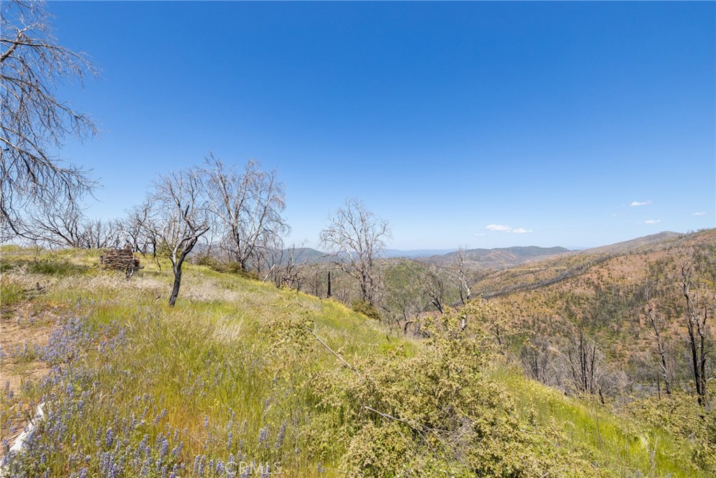 39 Buckingham Mountain Road Mariposa, CA 95338 - Photo 63 of 74