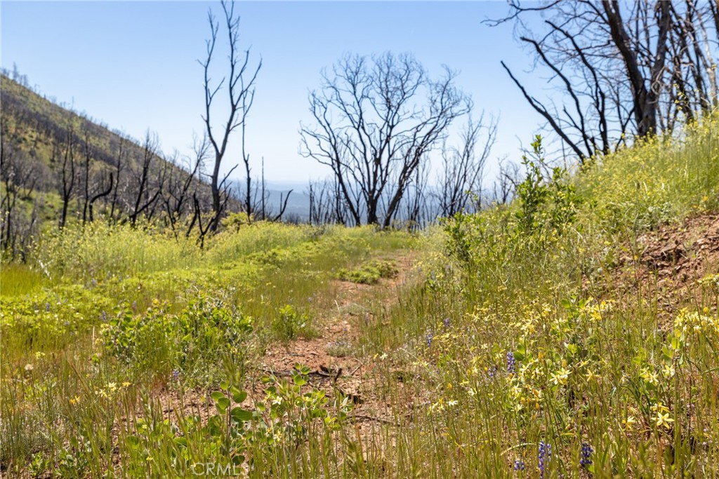 39 Buckingham Mountain Road Mariposa, CA 95338 - Photo 67 of 74