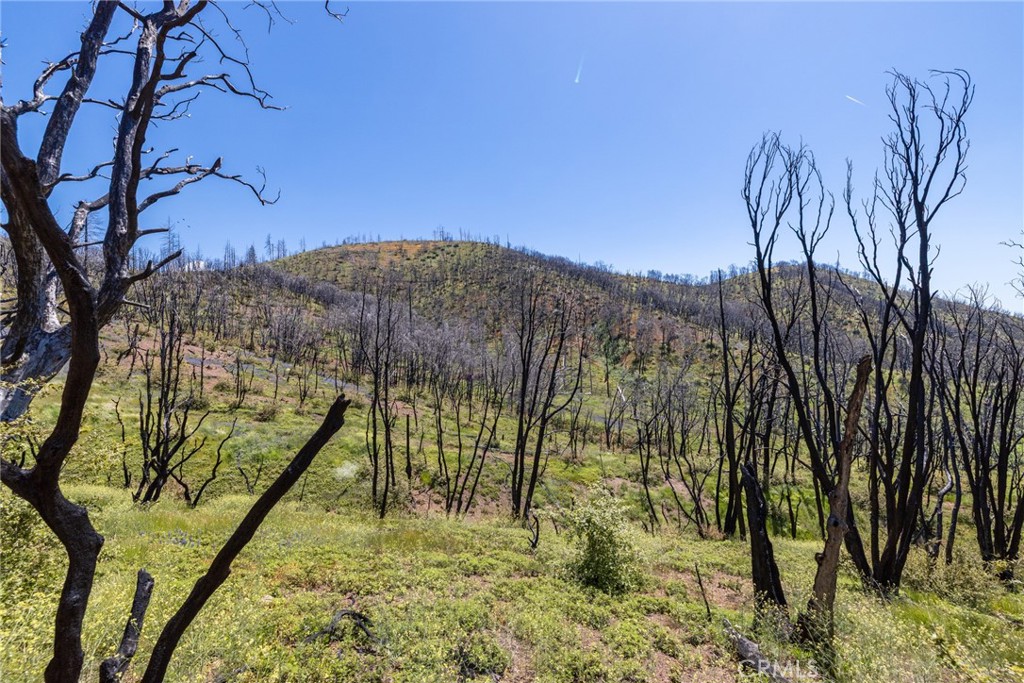 39 Buckingham Mountain Road Mariposa, CA 95338 - Photo 69 of 74 a view of an outdoor space and a yard