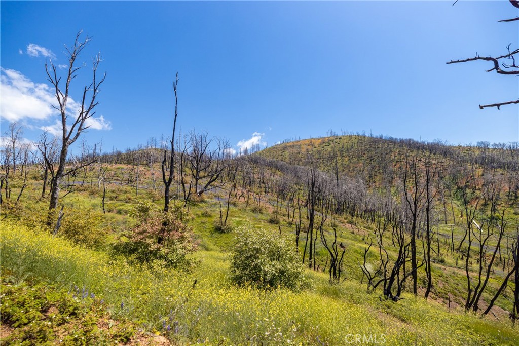 39 Buckingham Mountain Road Mariposa, CA 95338 - Photo 71 of 74