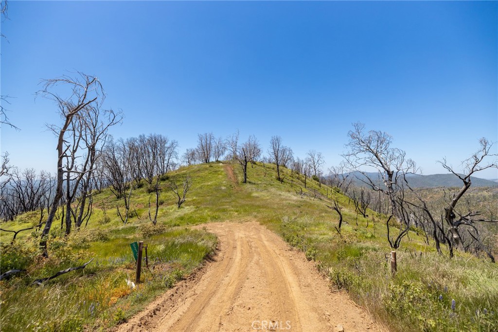 39 Buckingham Mountain Road Mariposa, CA 95338 - Photo 73 of 74 a view of swimming pool