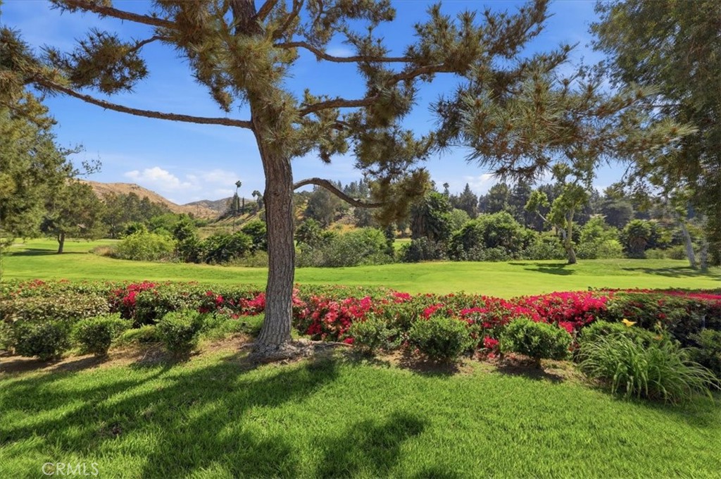 702 Vía Zapata Riverside, CA 92507 - Photo 49 of 65