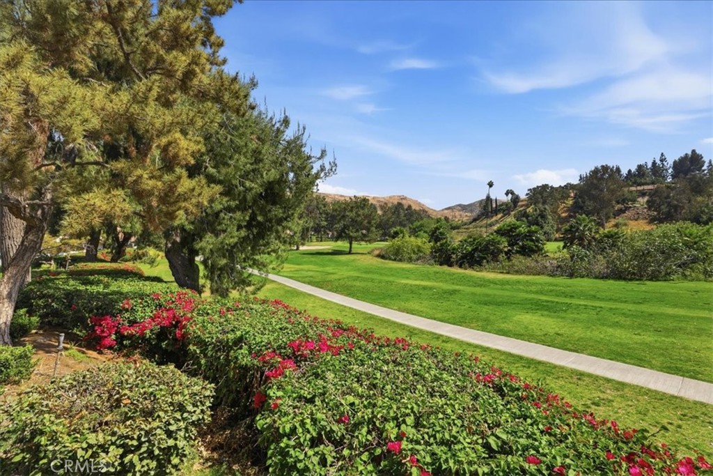 702 Vía Zapata Riverside, CA 92507 - Photo 51 of 65