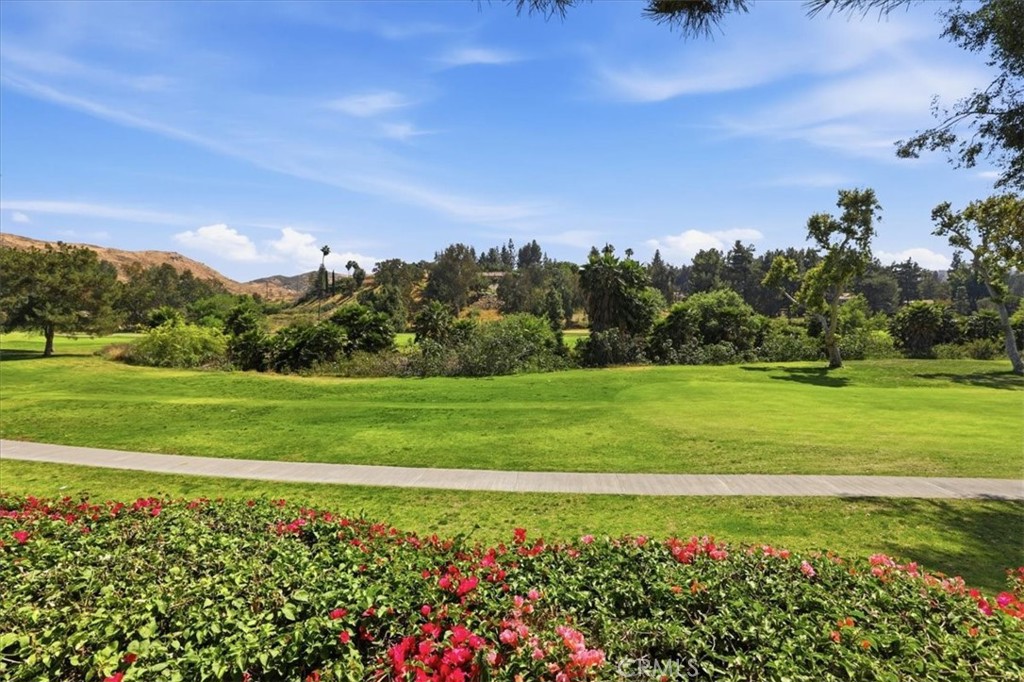 702 Vía Zapata Riverside, CA 92507 - Photo 52 of 65