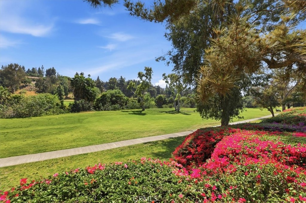 702 Vía Zapata Riverside, CA 92507 - Photo 53 of 65