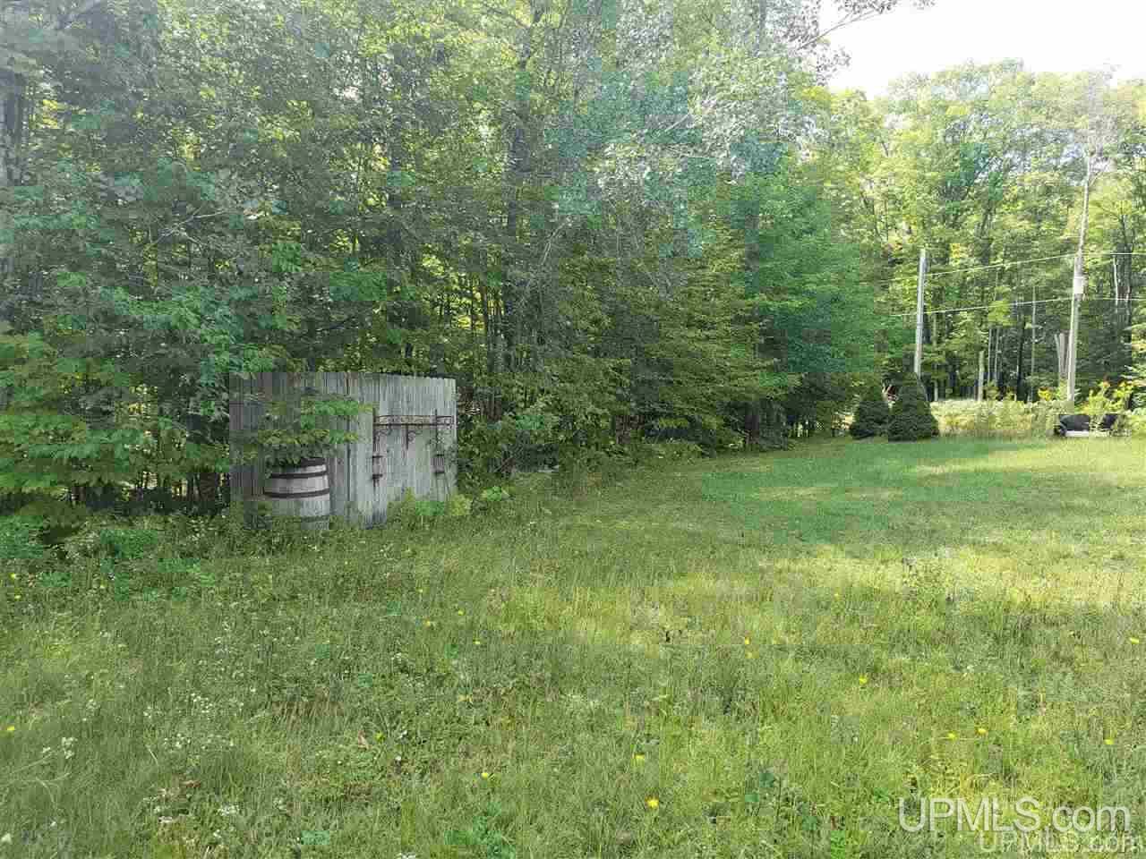 22540 Peterson Road Nisula, MI 49952 - Photo 6 of 39 Gallery Image 6