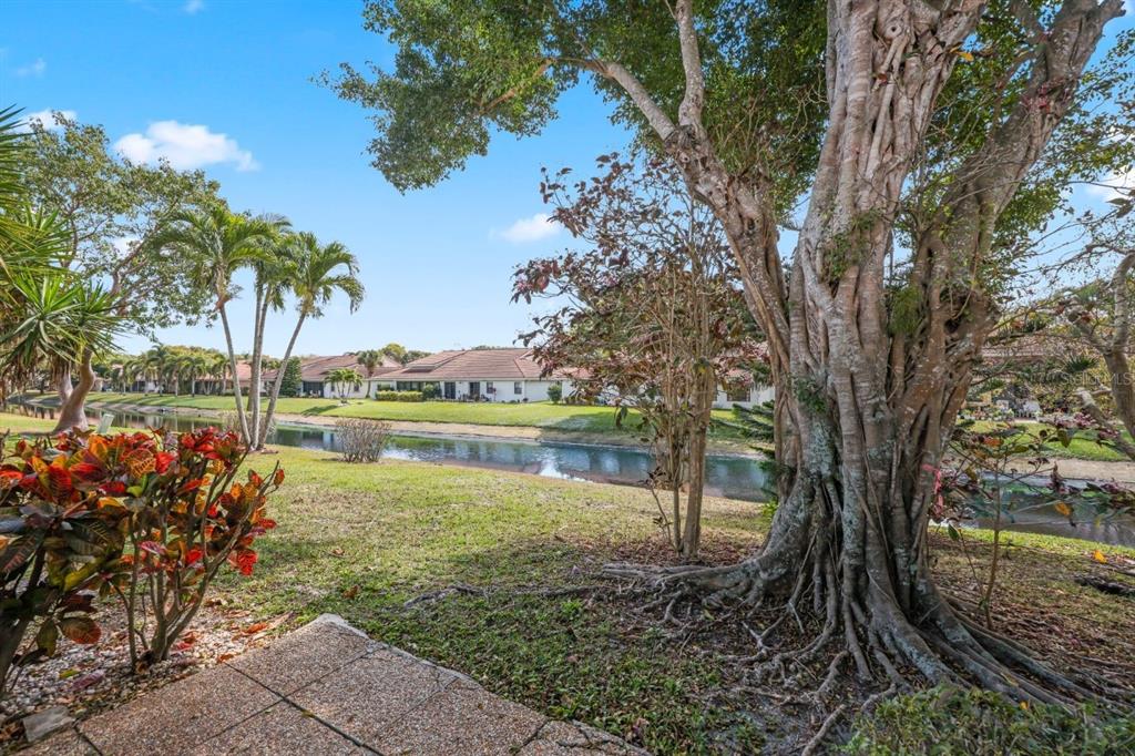 10618 180th Place South Boca Raton, FL 33498 - Photo 33 of 45 a view of lake with a large tree