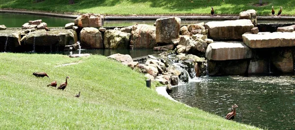 $3,700 | 5315 Ridgewood Reef, Houston, TX 77041