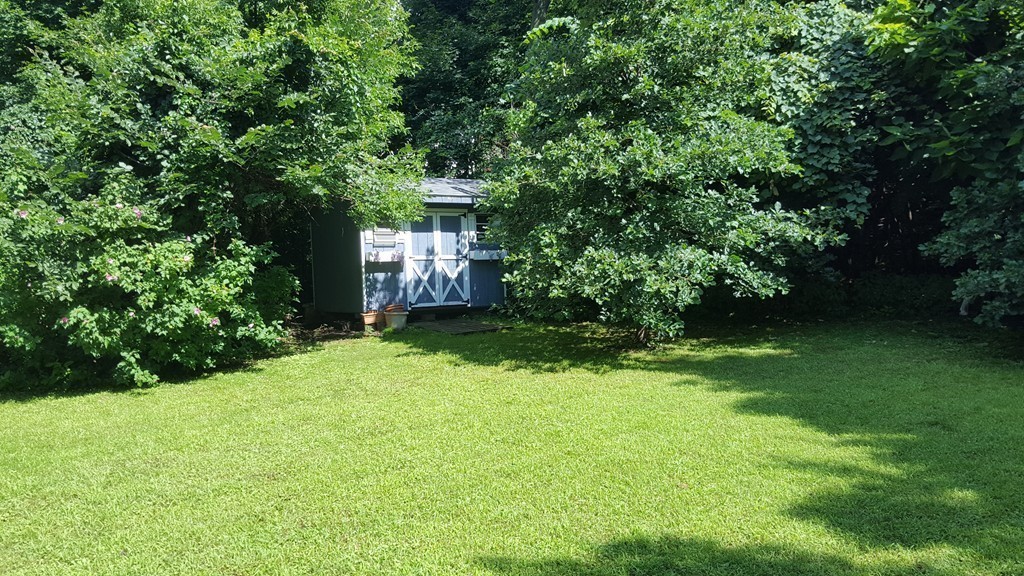 7 Pompano Road Worcester, MA 01605 - Photo 27 of 29 a view of a backyard with potted plants and large trees