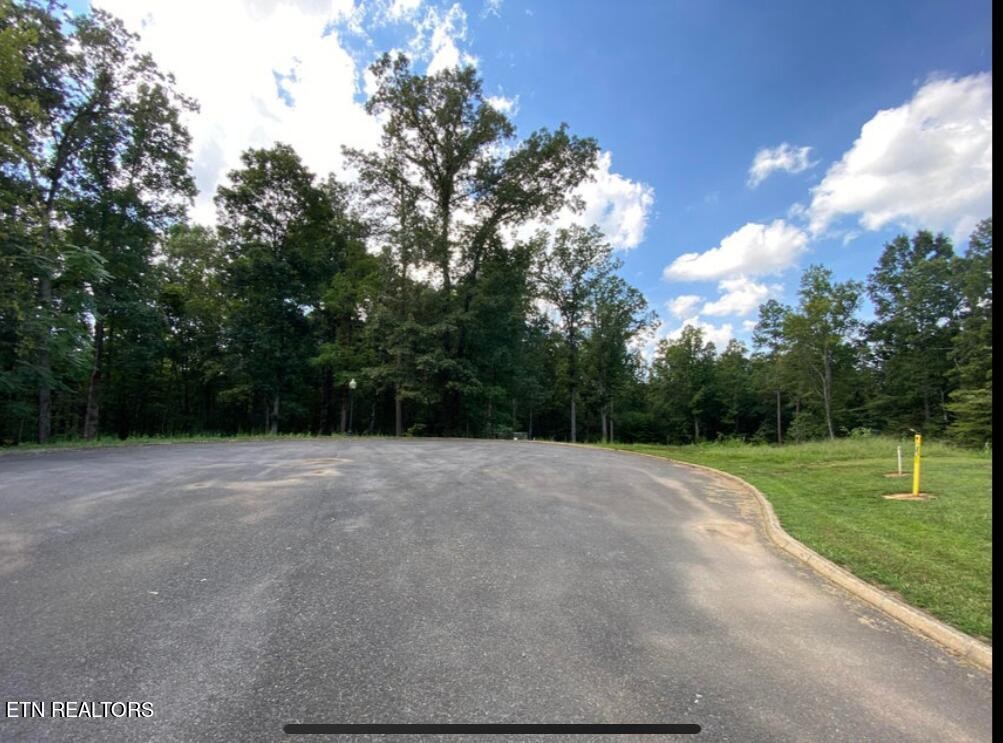 0 Meadowood Road Newport, TN 37821 - Photo 4 of 11 Gallery Image 4