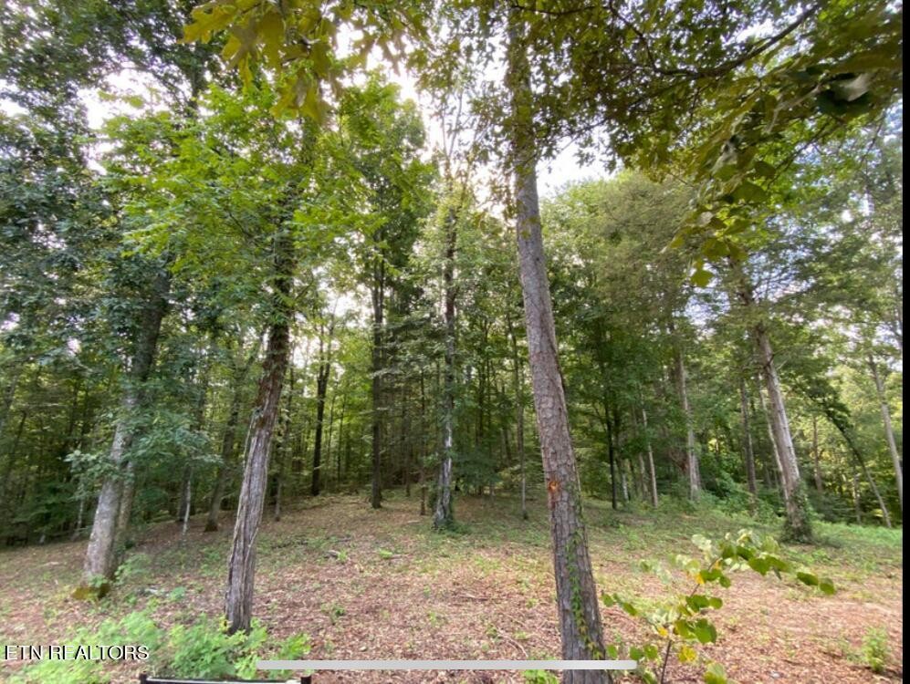 0 Meadowood Road Newport, TN 37821 - Photo 8 of 11 Gallery Image 8