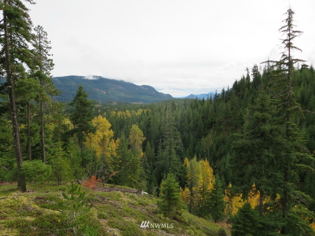 603 Dandy Pass Road Easton, WA 98925 - Photo 1 of 6 Gallery Image 1
