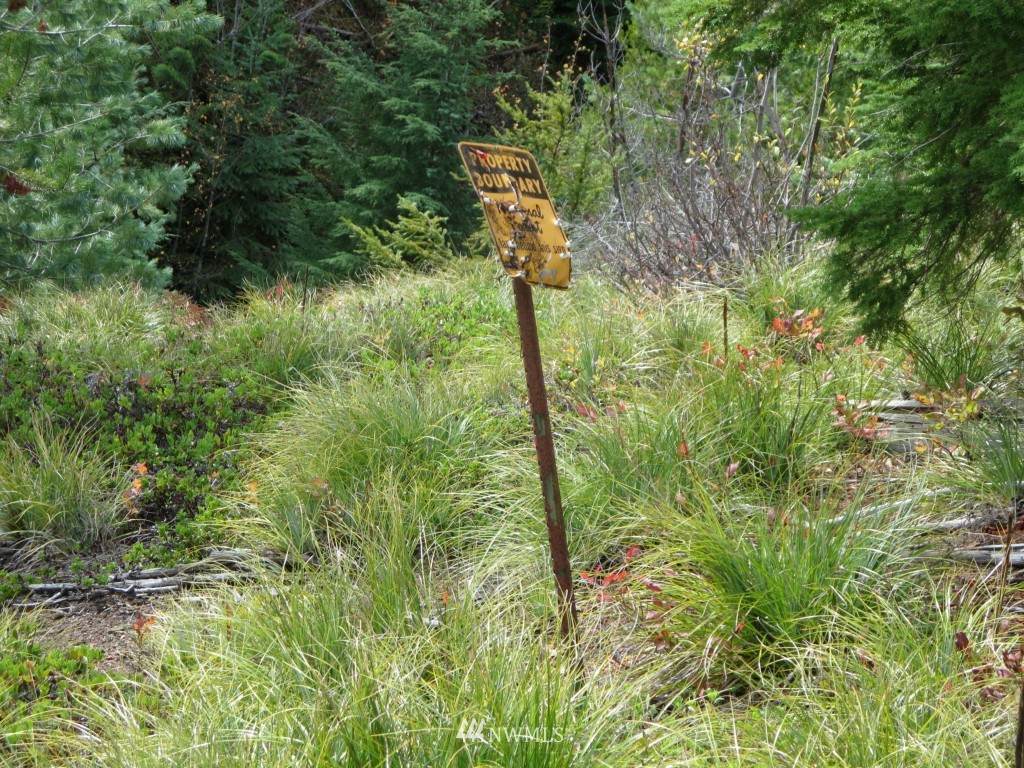 603 Dandy Pass Road Easton, WA 98925 - Photo 4 of 6 Gallery Image 4