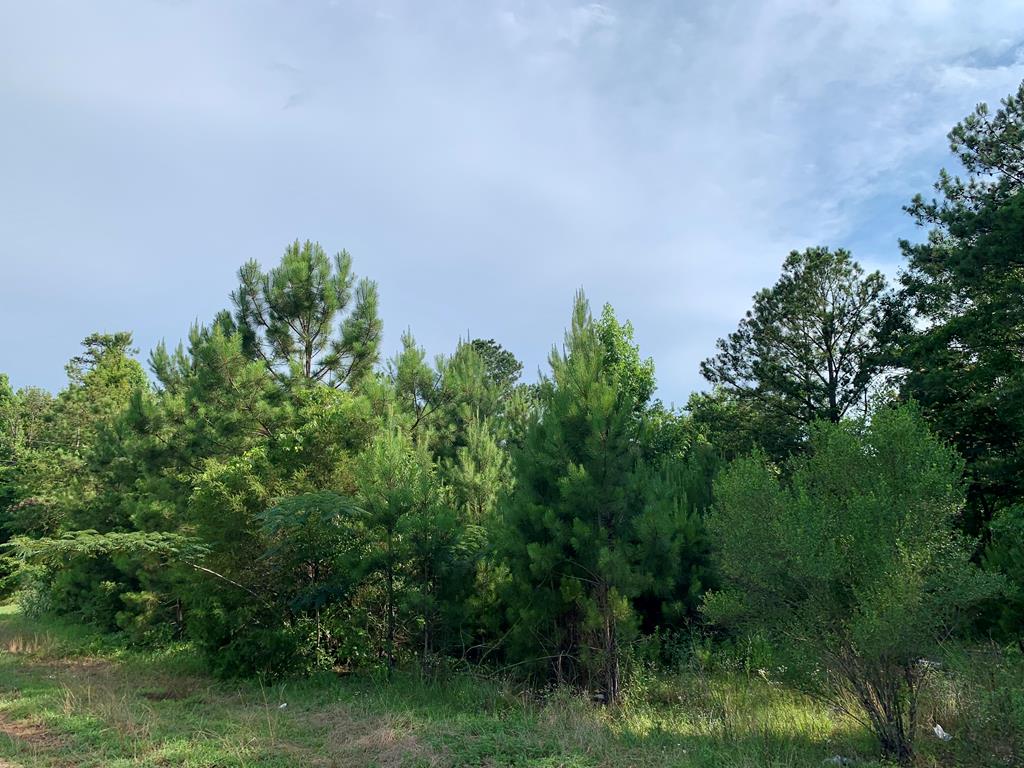 0 Henry County Road Abbeville, AL 36310 - Photo 1 of 3
