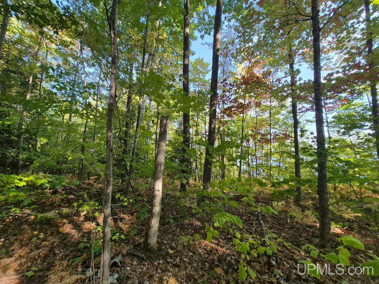 Tbd Tbd D Road Big Bay, MI 49808 - Photo 13 of 21