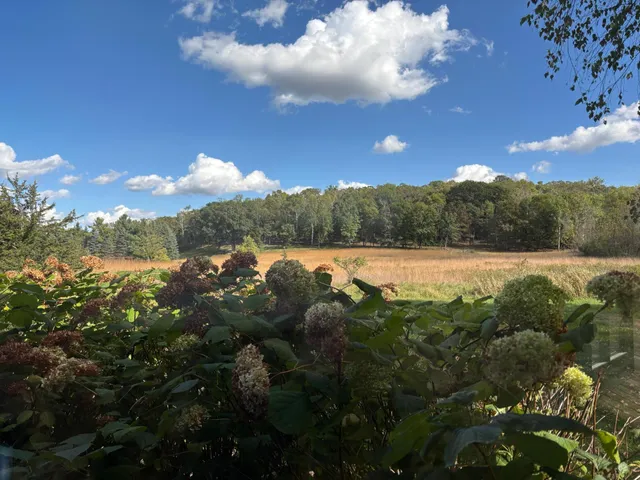 $1,225,000 | 14995 42nd Street South, Afton, MN 55001