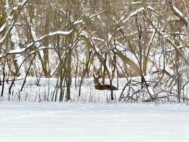 $1,225,000 | 14995 42nd Street South, Afton, MN 55001