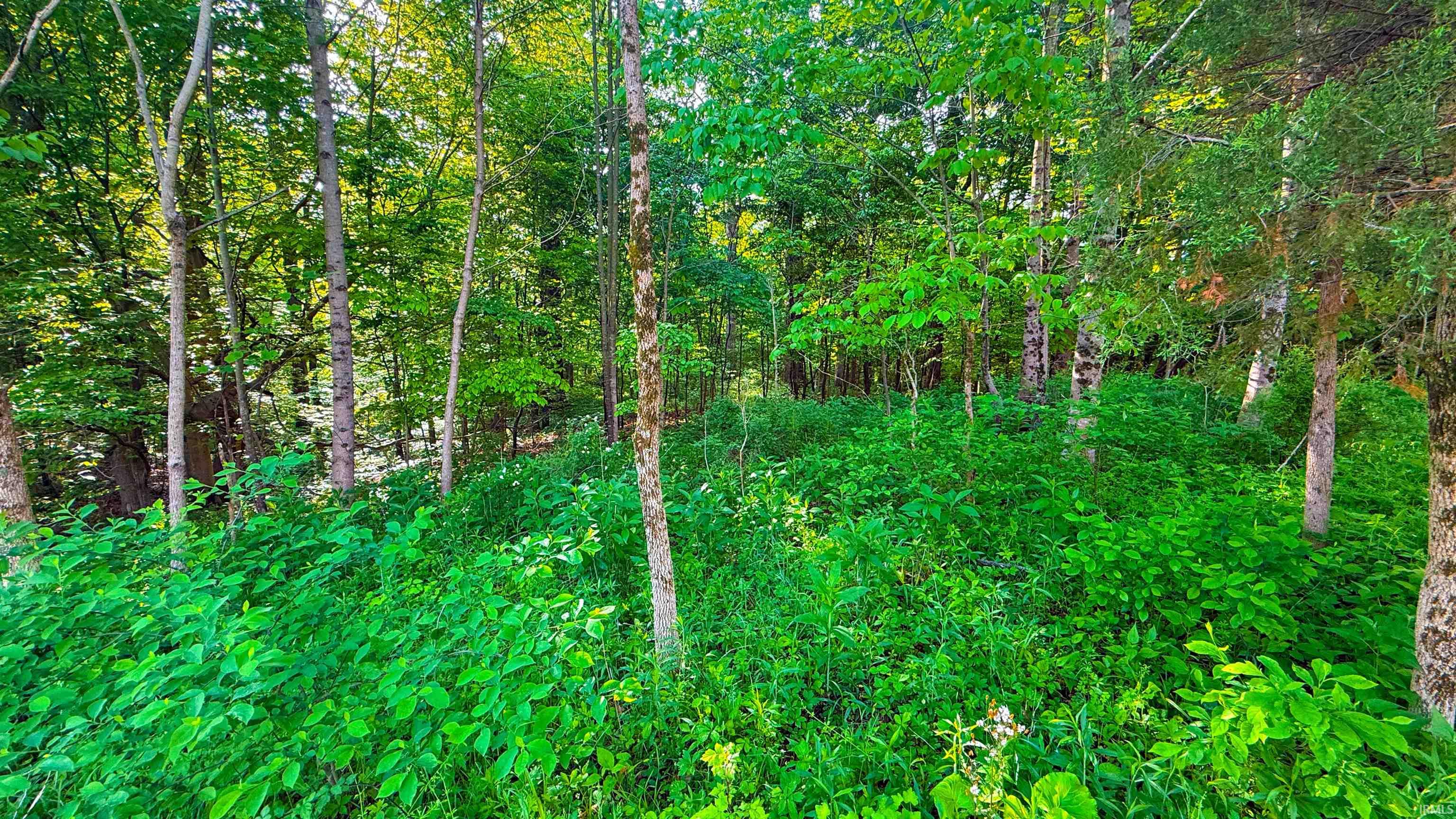 0 Oak Ridge Morgantown, IN 46160 - Photo 7 of 13 Gallery Image 7