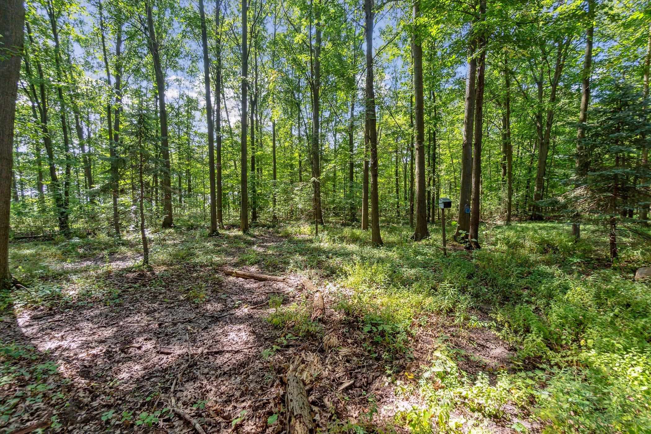 5703 Peet Road Chesaning, MI 48616 - Photo 47 of 73