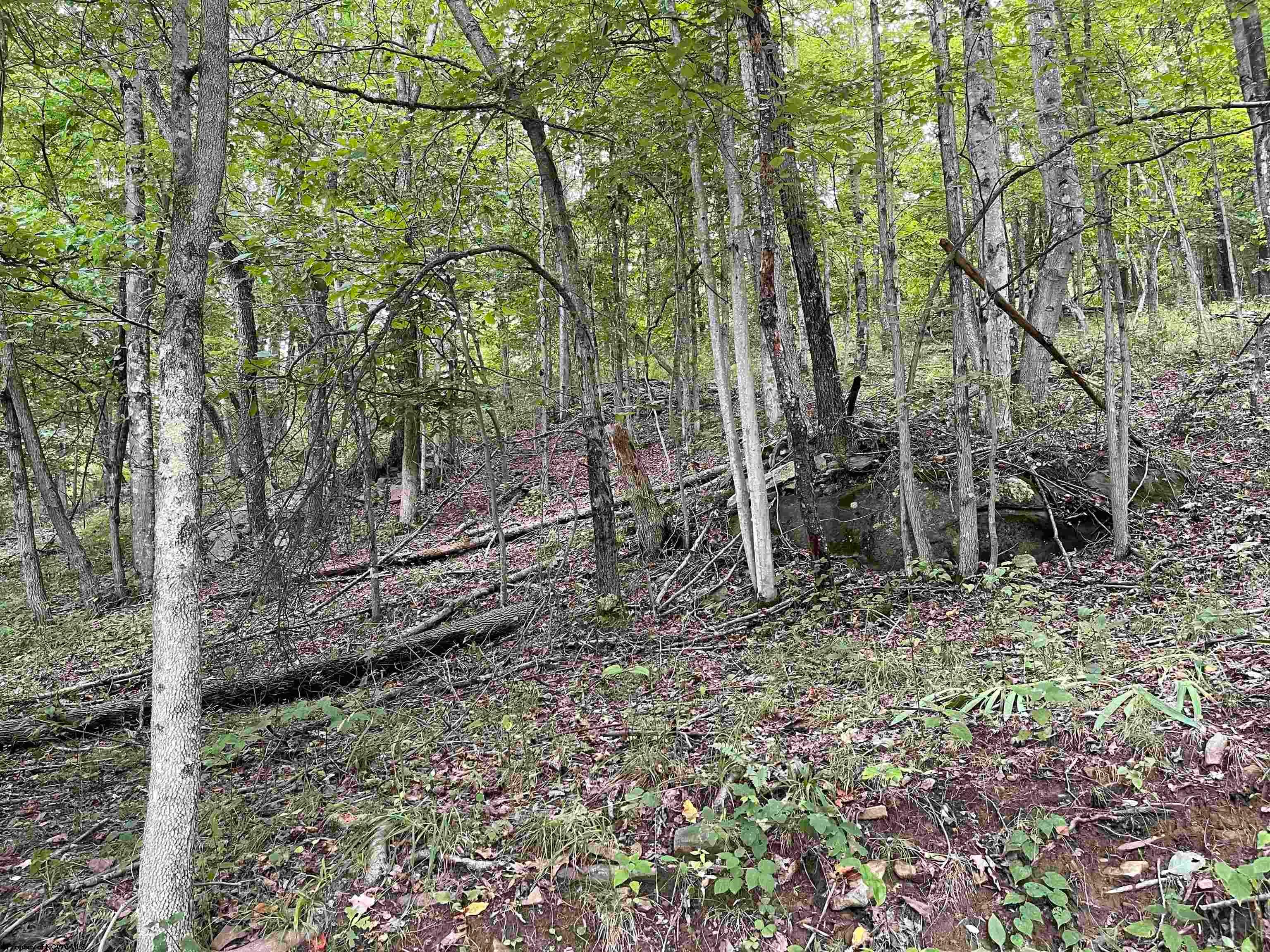 917 Mudlick Run Road Fairmont, WV 26554 - Photo 18 of 19 Gallery Image 18