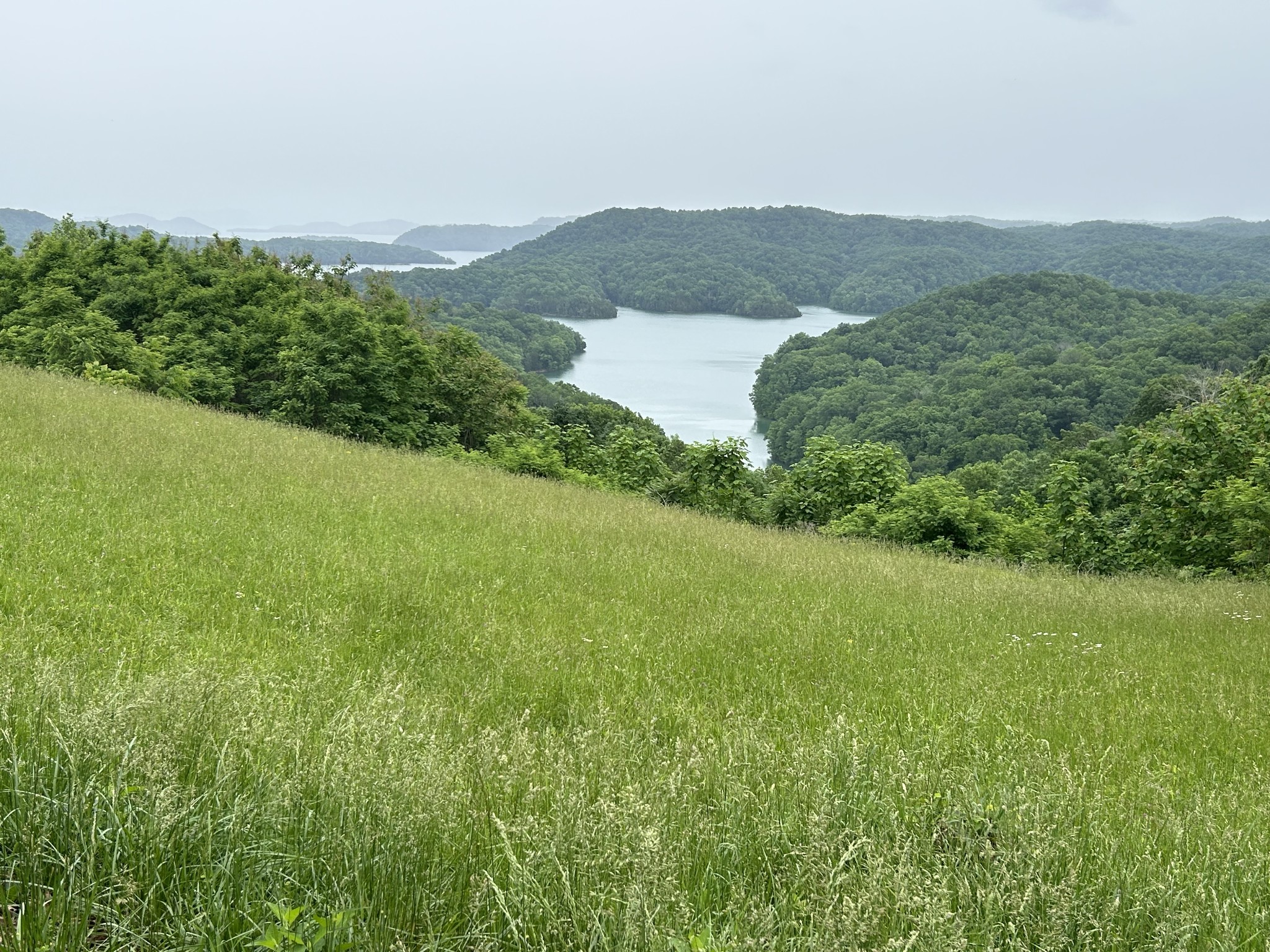 31 East Rock Fish Road Celina, TN 38551 - Photo 1 of 11 a view of a lush green hillside and a houses