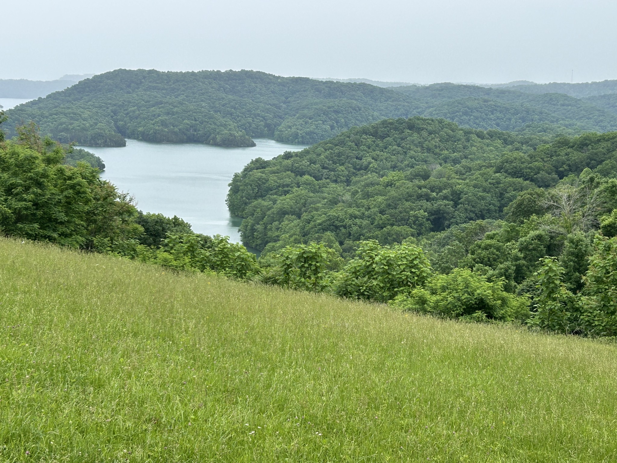 31 East Rock Fish Road Celina, TN 38551 - Photo 2 of 11 a view of an outdoor space and a mountain view