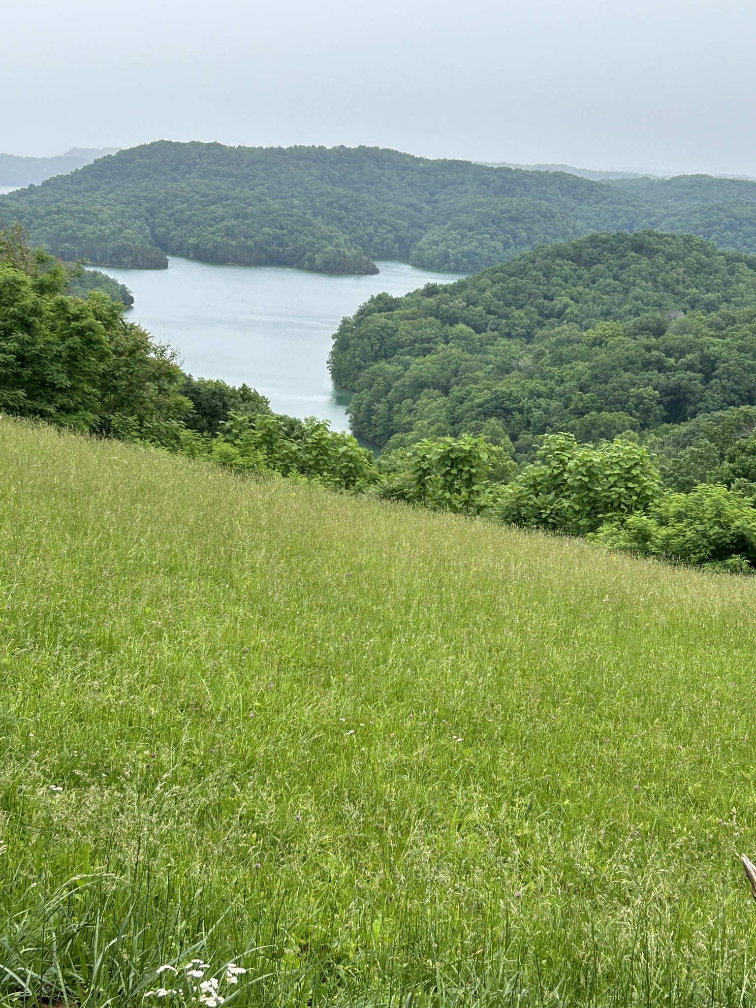 31 East Rock Fish Road Celina, TN 38551 - Photo 3 of 11 a view of lake with mountain