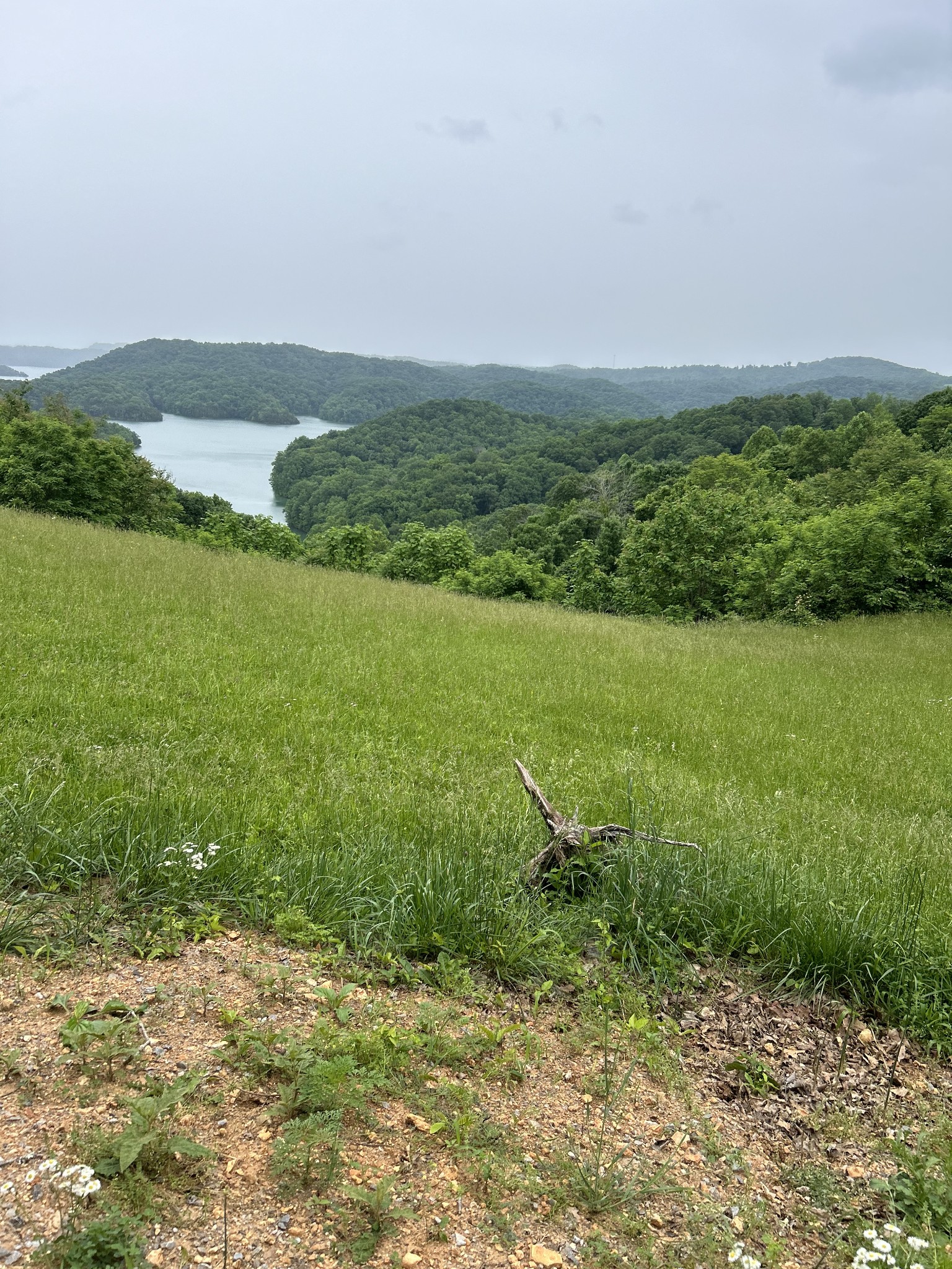 31 East Rock Fish Road Celina, TN 38551 - Photo 4 of 11 a view of a field with an ocean
