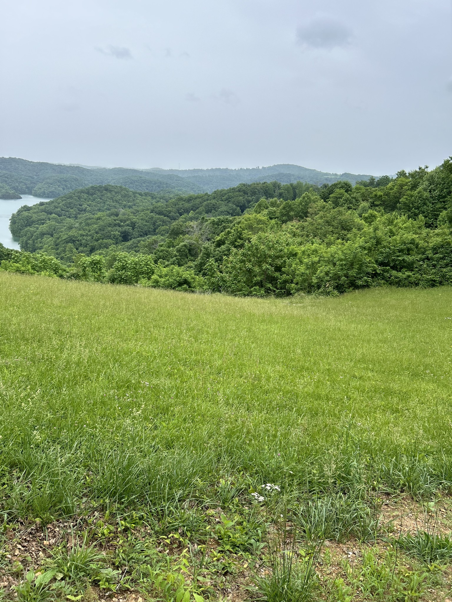 31 East Rock Fish Road Celina, TN 38551 - Photo 5 of 11 a view of yard with ocean view