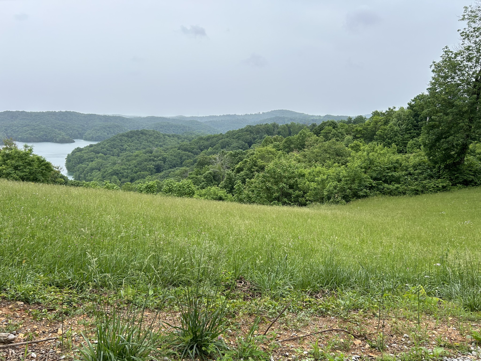 31 East Rock Fish Road Celina, TN 38551 - Photo 6 of 11 a view of a field with an ocean