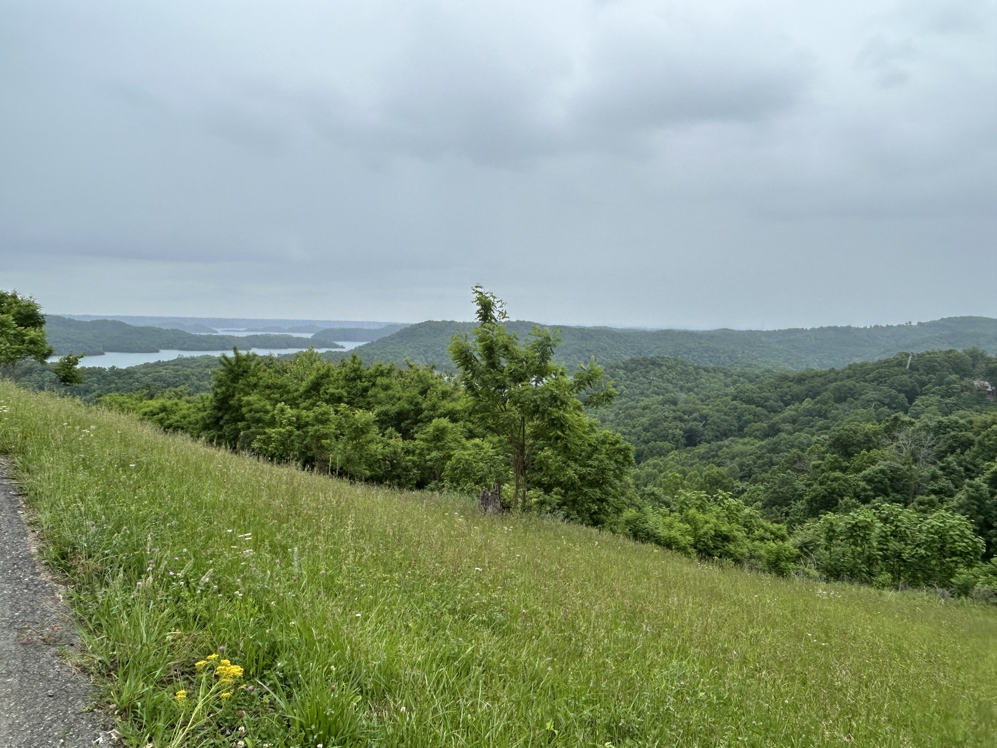31 East Rock Fish Road Celina, TN 38551 - Photo 10 of 11 a view of a green field with lots of bushes