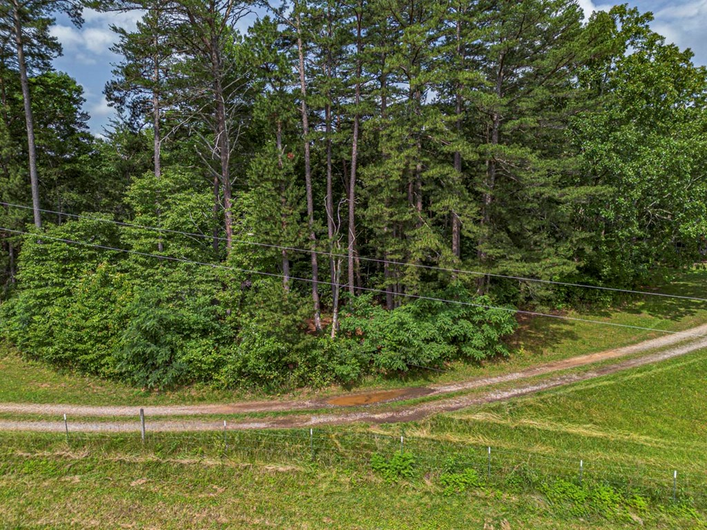 541 Pleasant Hill Road Copperhill, TN 37317 - Photo 7 of 20