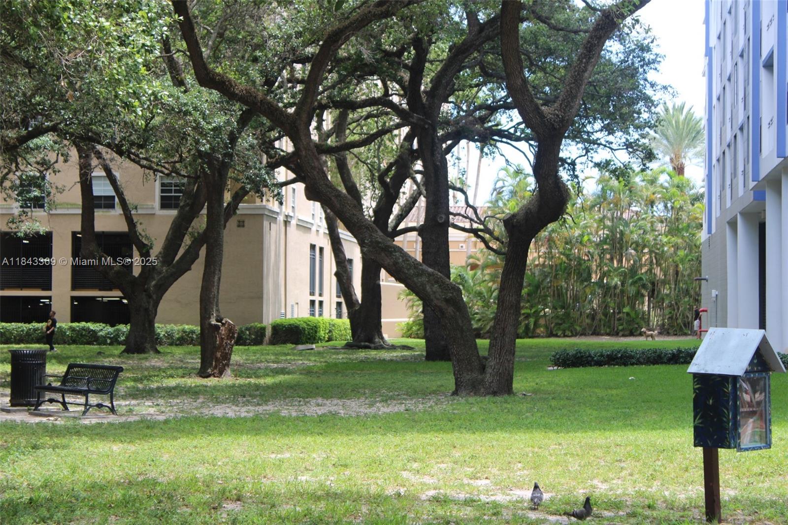 520 Southeast 5th Avenue, Unit 3503 Fort Lauderdale, FL 33301 - Photo 29 of 37 a view of a backyard with garden