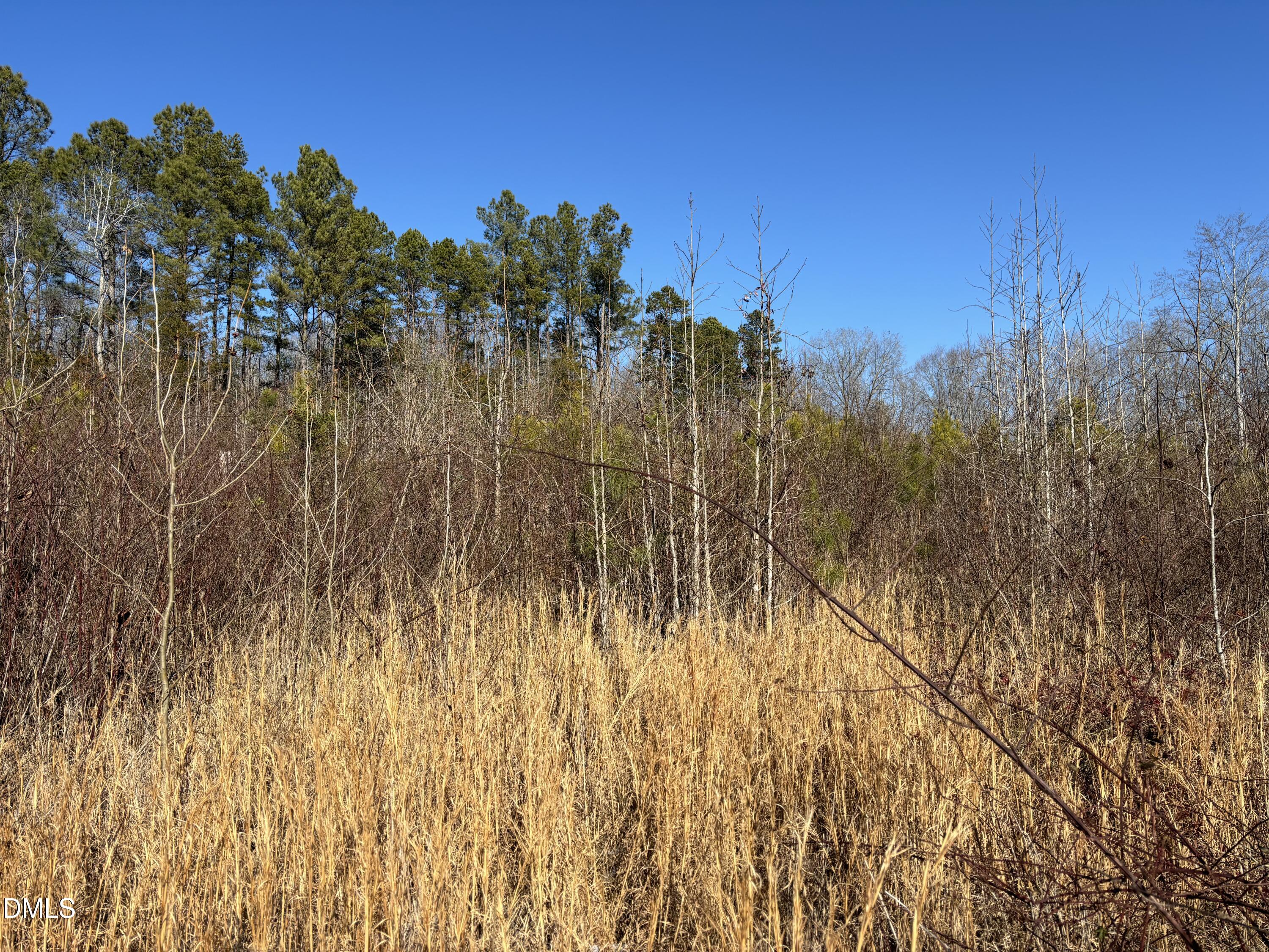 7 Keeton Road Bullock, NC 27507 - Photo 5 of 5 a view of a yard with trees in the background